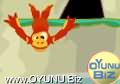 Monkey
Dive play games