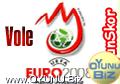 Euro 2008
volley play games