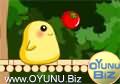 Pıtırcık play games